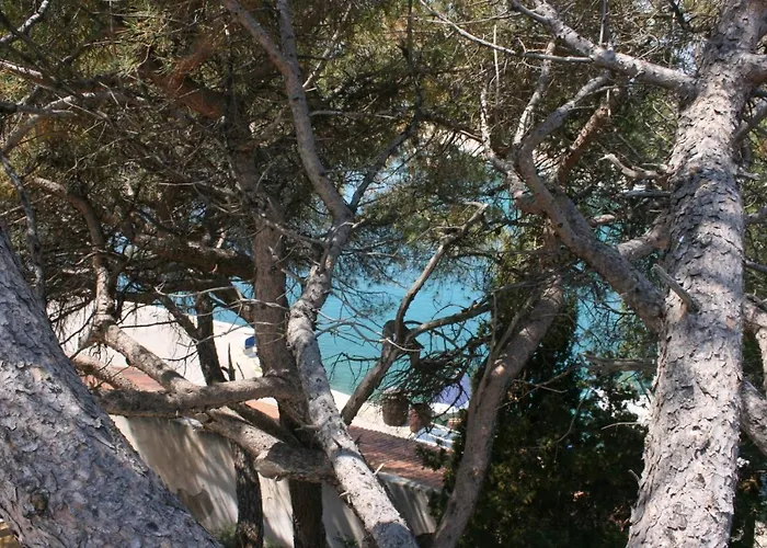 Апартаменты By The Sea Mandre, Pag - 6474