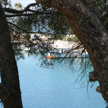 Apartment By The Sea Mandre, Pag - 6474 *